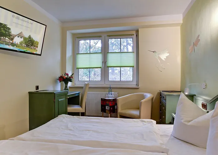 Tui Suneo Kinderresort Ihr Entspannter Familienurlaub Mit Abenteuerspielplatz&der Längsten Wasserrutsche Im Deutschen Teil Der Insel Usedom Hotel Trassenheide